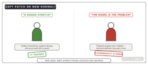 China slowdown soft patch or structural decline two views compared
