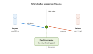 Buyers pull the price down and sellers push it up, meeting at the equilibrium price in the middle